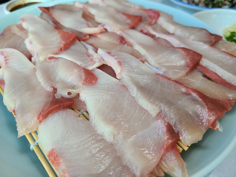 [알쏭달쏭 바다세상Ⅲ](43) 차진 식감에 고소함 더한 겨울 별미 방어회