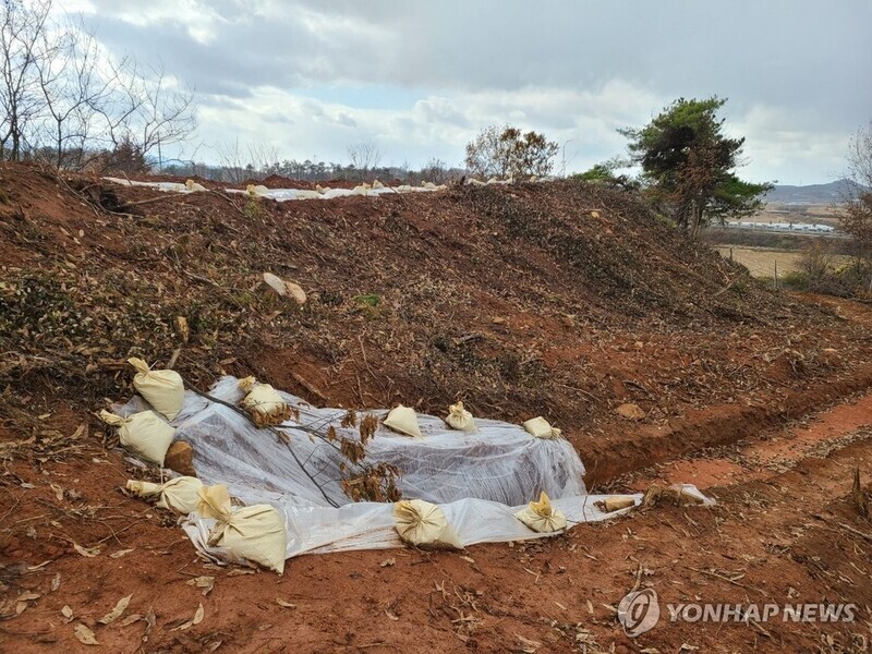 나주서 '전방후원형 무덤' 추정 유적 발견…"추가 조사"(종합)