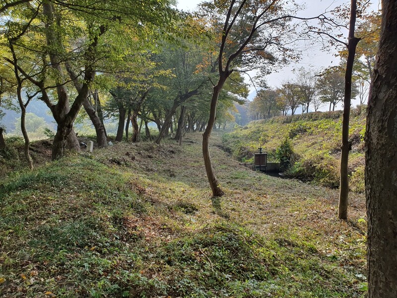 오원천 따라 1㎞ 숲길 '임실 장제무림' 국가산림자산 지정