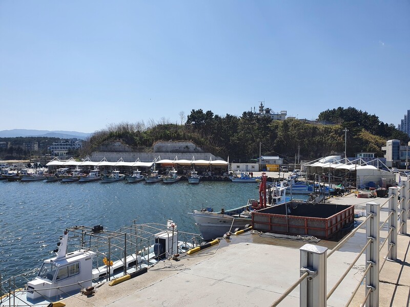 강릉 영진·고성 초도·양양 물치항, 어촌뉴딜 300사업 선정