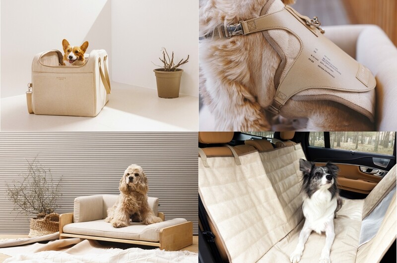 볼보차, 반려동물 굿즈 4종 20일부터 판매…"판매금 기부"