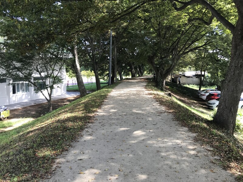 담양군, '천연기념물' 관방제림 제방단면 시굴 조사