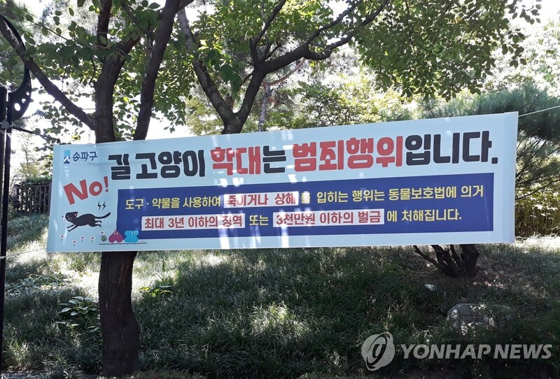 인왕산 수성동 계곡서 길고양이 사체 잇달아 발견