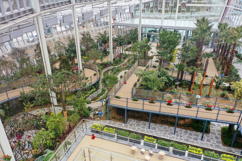 영동군, 레인보우식물원 준공…아열대식물 1만1천여주