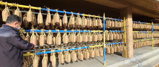Drying bean paste to make soy sauce