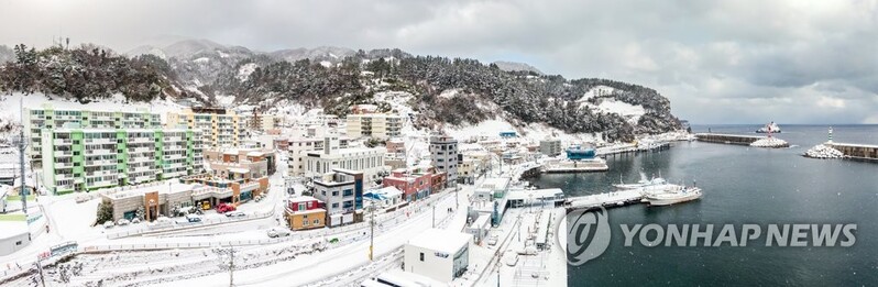 눈 세상으로 변한 울릉도…열선 깔린 도로 효과 '톡톡'