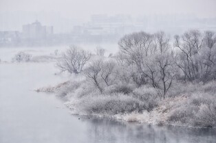 [K-Geography] Soyang River blanketed with blossoms of water fog and hoarfrost