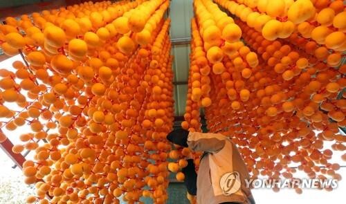 "달고 쫀득한 영동곶감 제철" 내달 5∼25일 온라인축제