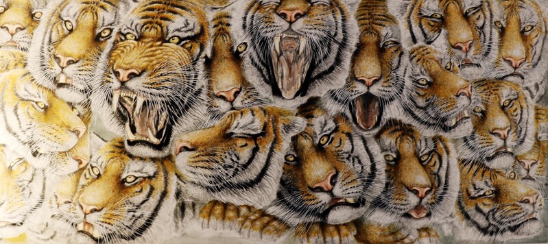 50여년 호랑이 그린 화가 손에서 되살아난 6천년 한국호랑이