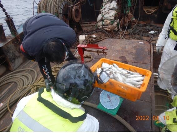 Chinese boat captured for alleged false report of fish catch