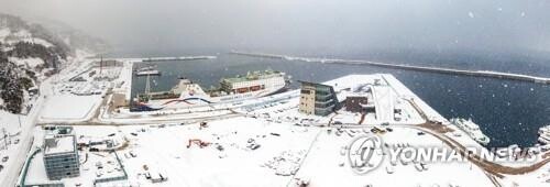 "이번 설에도 오지 마세요"…울릉 귀성객 운임 할인 안 해