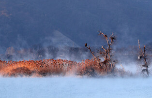 [K-Geography] Water fog rising over river in cold wave
