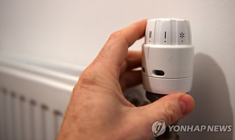 "추우면 반려동물 껴안으라" 황당 조언한 영국 에너지 업체