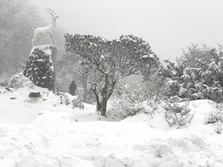 [K-Geography] Snowcapped Mt. Halla in Jeju Island
