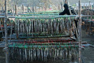 [K-Geography] Drying Pollock for 'hwangtae'