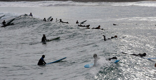 [K-Geography] Surfers enjoying winter waves