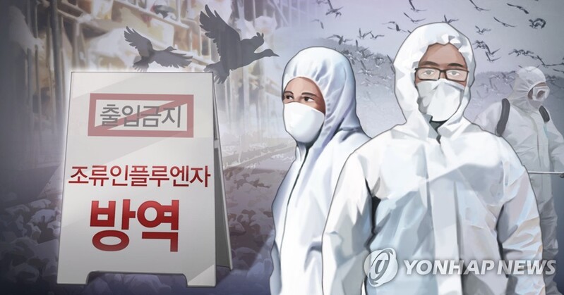 S. Korea confirms another highly pathogenic bird flu case