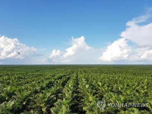 POSCO International recommended corporate responsibility over Indonesia's palm oil biz