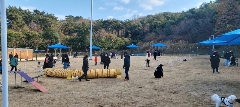 창원시, 반려동물 친화도시 조성…동물보호 담당 신설