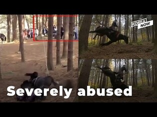 KBS drama causes outrage for abusing animal