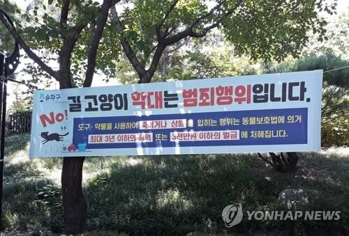 포항 한 동네서 고양이 4마리 사체 잇따라 발견…경찰 수사