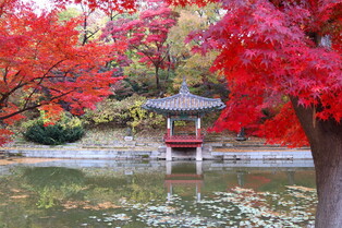 Autumn in ancient palace
