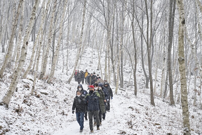 원주 호저면 산현리에 자작나무숲 명품 둘레길 조성