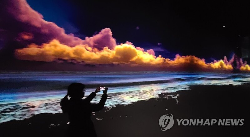 '아르떼뮤지엄 강릉' 하루 평균 3천500명 방문 '인기'