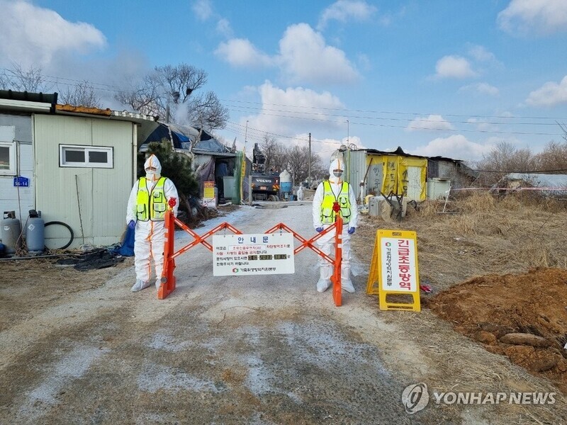 S. Korea confirms additional avian influenza case