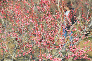 Sign of spring