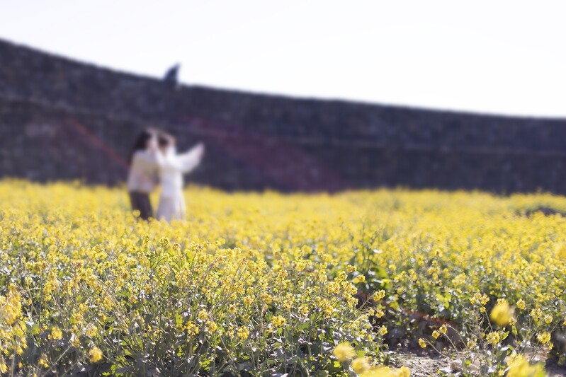 [길따라 멋따라] '제주도 푸른밤'과 똑같은 사진찍기