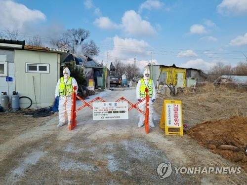 S. Korea confirms additional avian influenza case