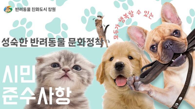 "성숙한 반려동물 문화 정착 돕는다"…창원시, 유튜브 채널 개설
