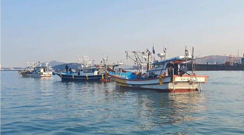 해남 화원 앞바다, 7년 만에 새조개 돌아왔다