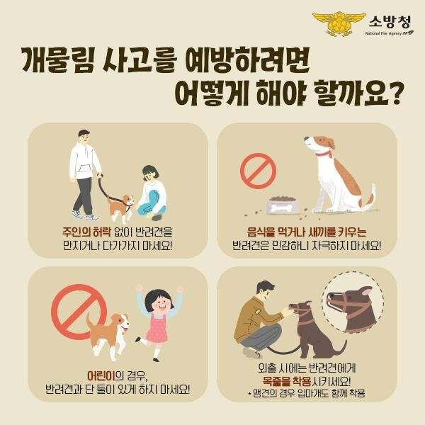 '개 물림사고 주의'…경남소방본부 최근 5년간 환자 716명 이송