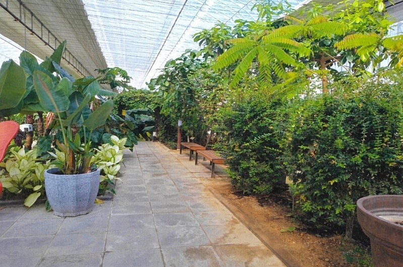 "바나나·파인애플 수확하세요"…충북 영동에 체험시설 조성