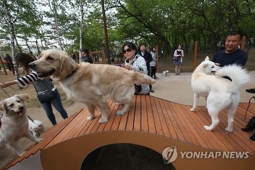 김해시 첫 '반려동물 테마공원' 만든다…내년 말 개장