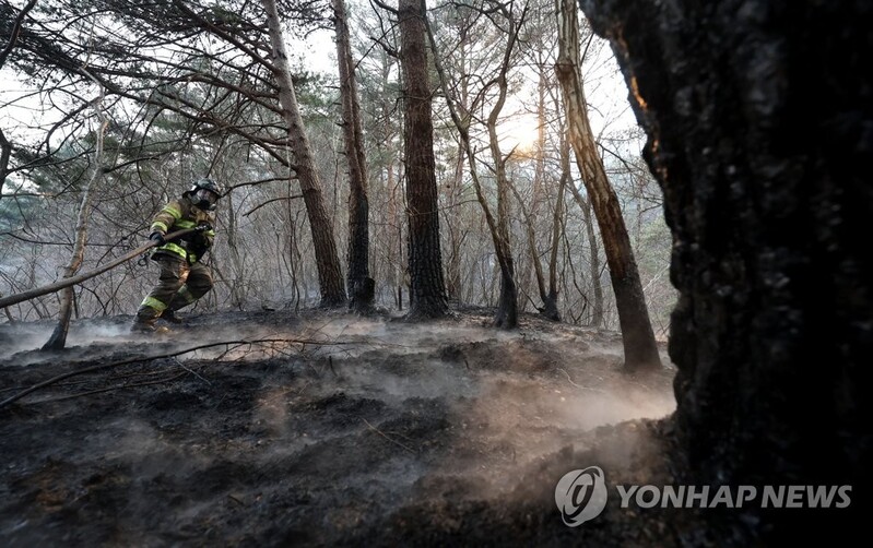 [동해안 산불] 기업·연예인·시민 온정 줄이어…희망브리지, 213억여원 모금