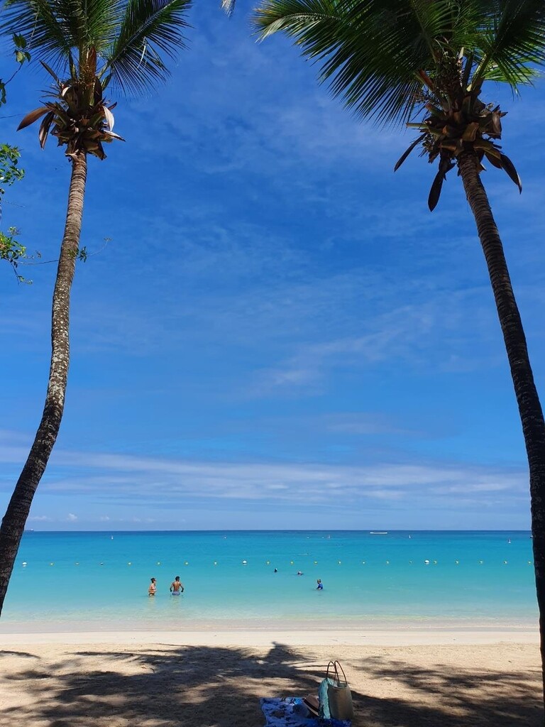 [여행소식] '뜨는 신혼여행지' 모리셔스, 백신 안 맞아도 입국
