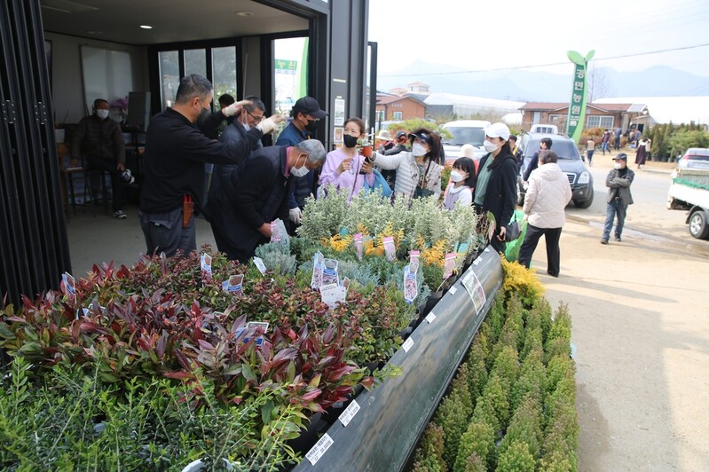 '전국 최대 나무시장' 옥천서 온라인 묘목축제 개막