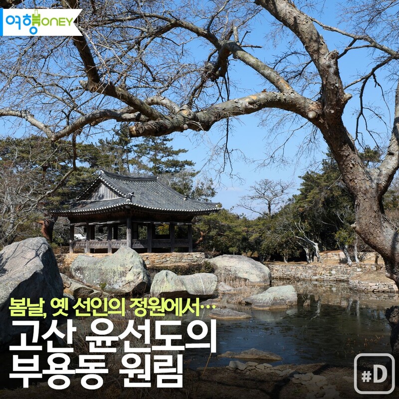 [여행honey] 봄날, 옛 선인의 정원에서