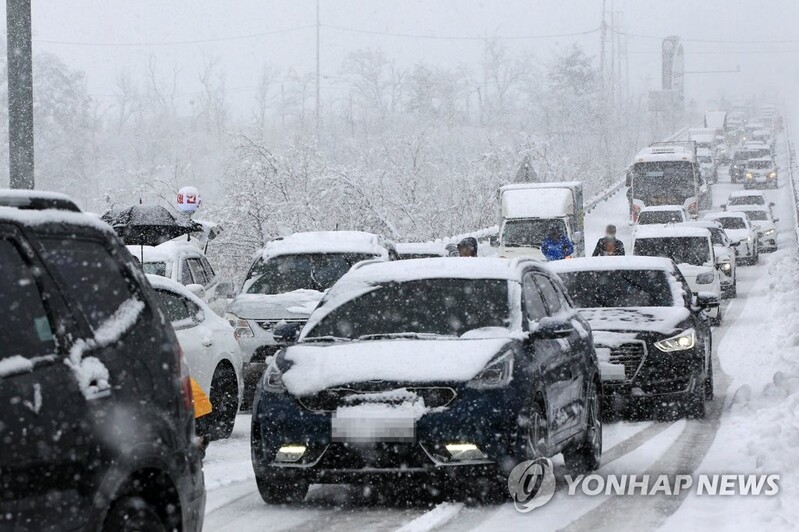 꽃잎엔 촉촉한 봄비, 강원도엔 봄 시샘 폭설…나들이 인파 한산