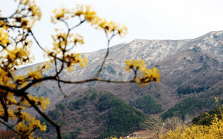 [K-Geography] 'Sansuyu' Village in Gurye