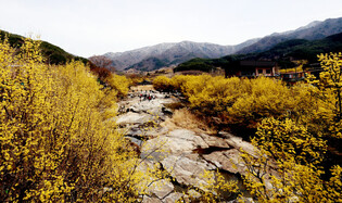 [K-Geography] Gurye 'Sansuyu' Village