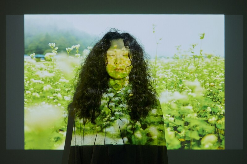 전쟁은 인간을 어떻게 변화시키나…연극 '금조 이야기'