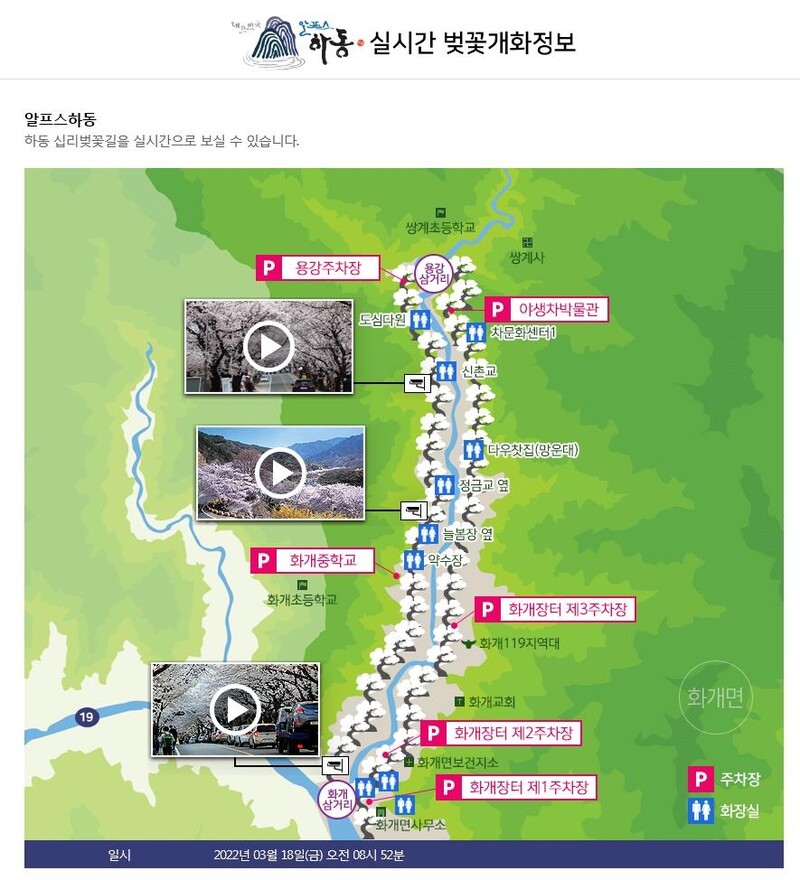 하동군, 국내 최대 규모 십리벚꽃길 개화 상황 실시간 서비스