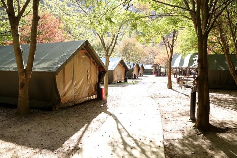 소백산국립공원 남천야영장 내달 1일 개장