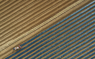 [K-Geography] Seed potato planting
