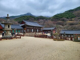 [K-Geography] Historic temple after rain and wind