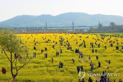 대구관광개발 5개년 계획 확정…"한국 대표 내륙관광도시 육성"
